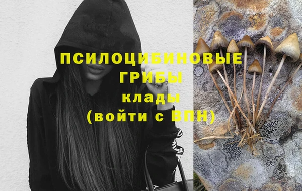 скорость Алексеевка